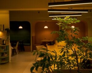Indoor Lighting with tables and plants