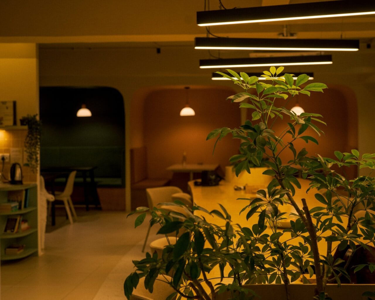 Indoor Lighting with tables and plants